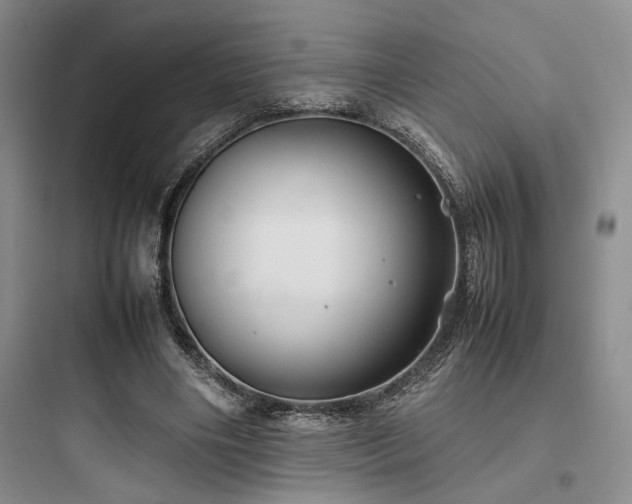X0000097900490200803211445