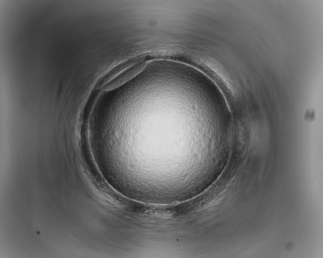 X0000097900491200803211445