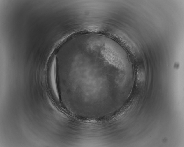 X0000097900492200803211445