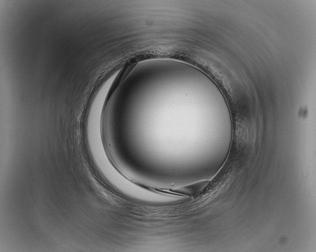 X0000097900493200803211445