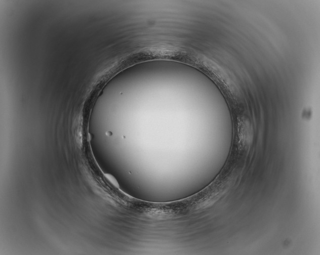 X0000097900494200803211445