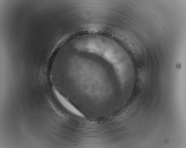X0000097900496200803211445