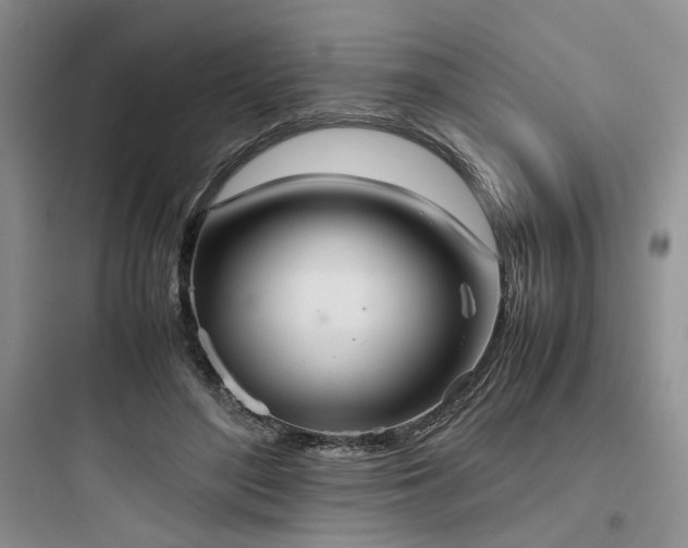 X0000097900500200803211445