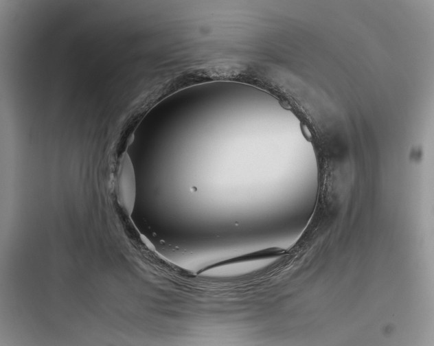 X0000097900501200803211445