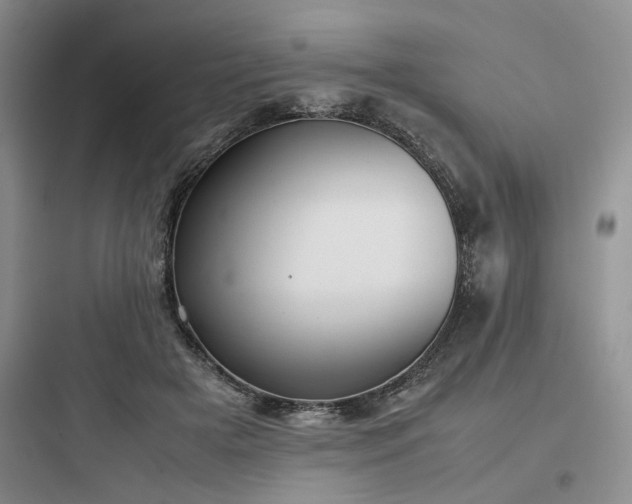 X0000097900505200803211444