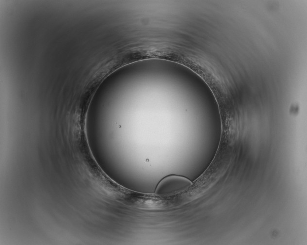X0000097900506200803211444