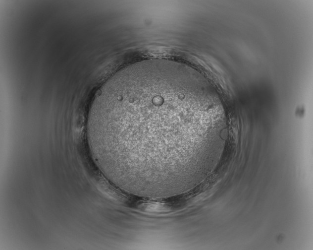 X0000097900507200803211444