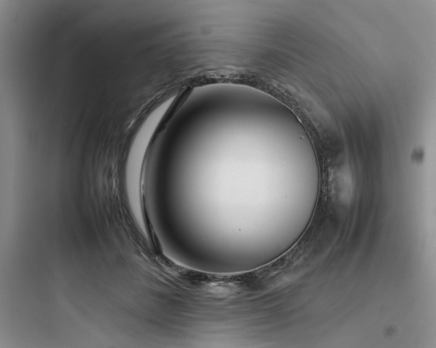 X0000097900508200803211444