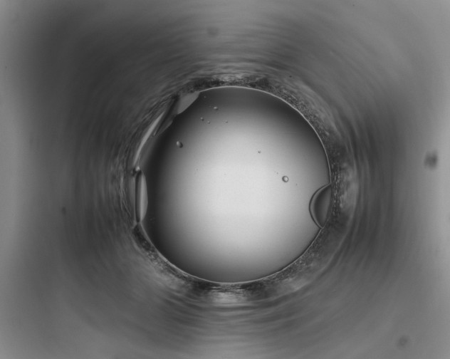 X0000097900510200803211444