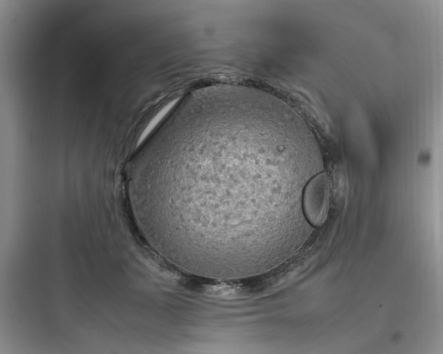 X0000097900511200803211444