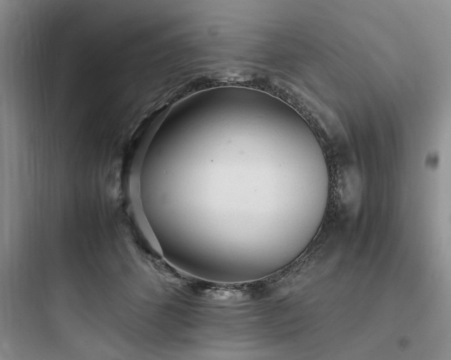 X0000097900512200803211444