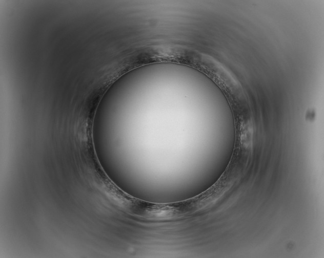 X0000097900514200803211444