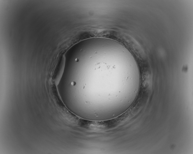 X0000097900515200803211444