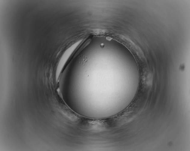 X0000097900516200803211444