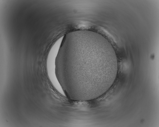 X0000097900517200803211444