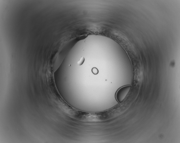X0000097900518200803211444