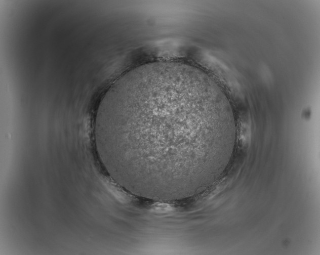 X0000097900519200803211444
