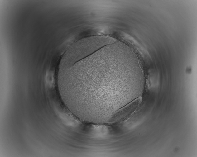 X0000097900520200803211444