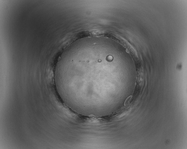 X0000097900523200803211444
