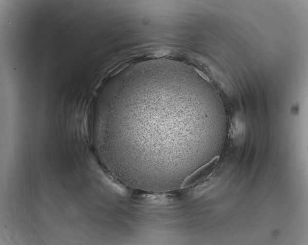 X0000097900524200803211444