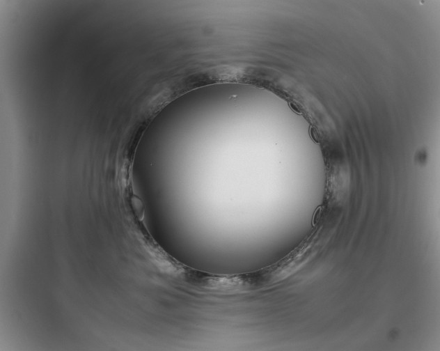 X0000097900525200803211444