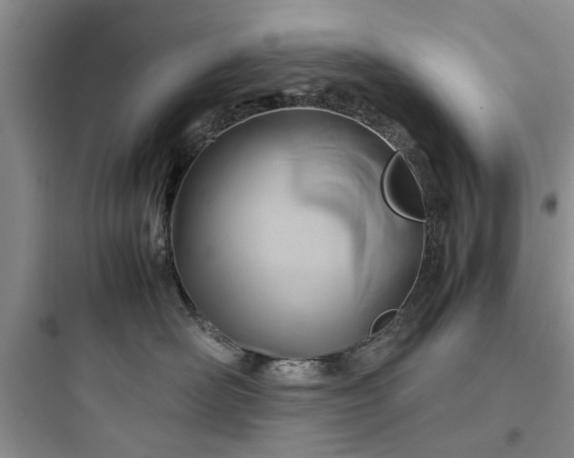 X0000097900526200803211444