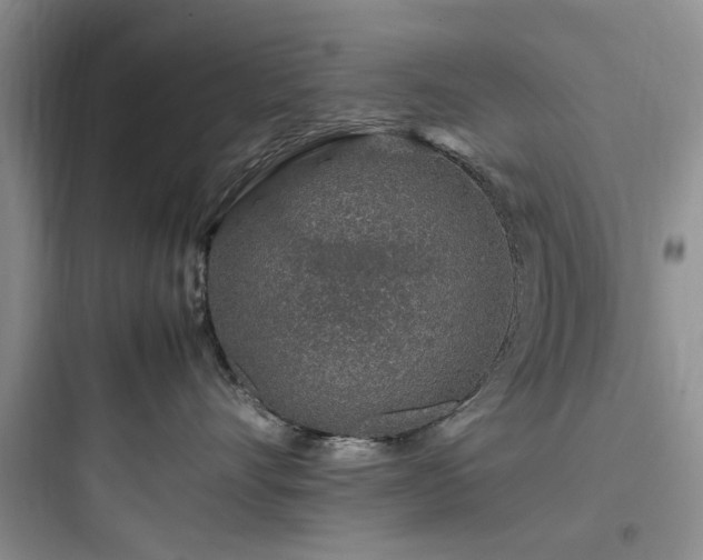 X0000097900528200803211444