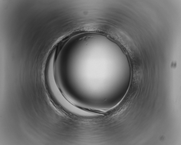 X0000097900530200803211443
