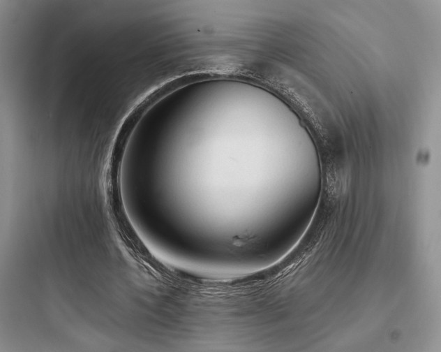 X0000097900532200803211443