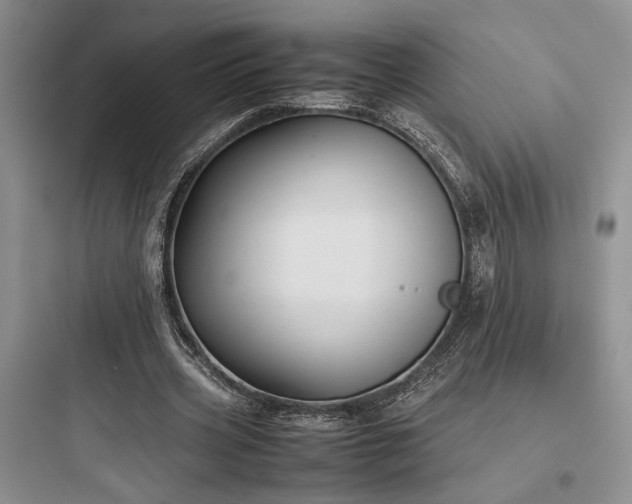 X0000097900533200803211443