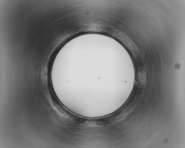 X0000097900534200803211443