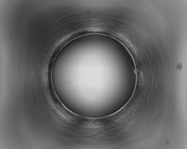 X0000097900535200803211443