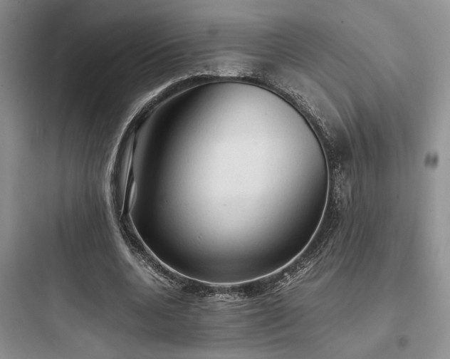 X0000097900536200803211443