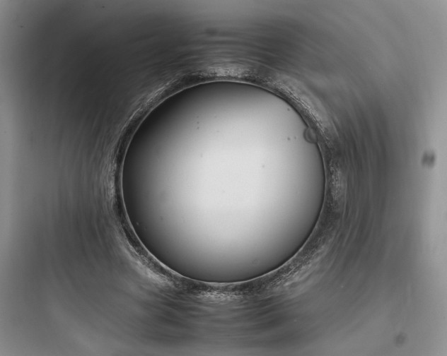 X0000097900537200803211443