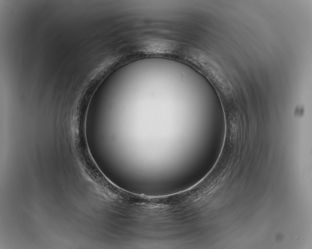 X0000097900539200803211443