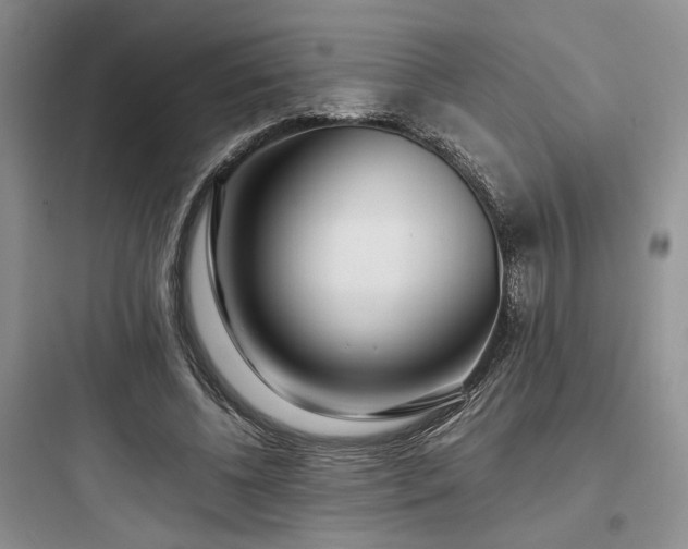 X0000097900540200803211443