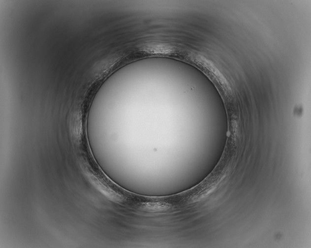 X0000097900541200803211443