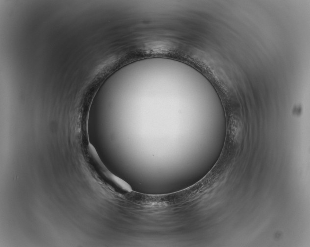 X0000097900543200803211444