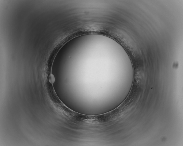 X0000097900544200803211444