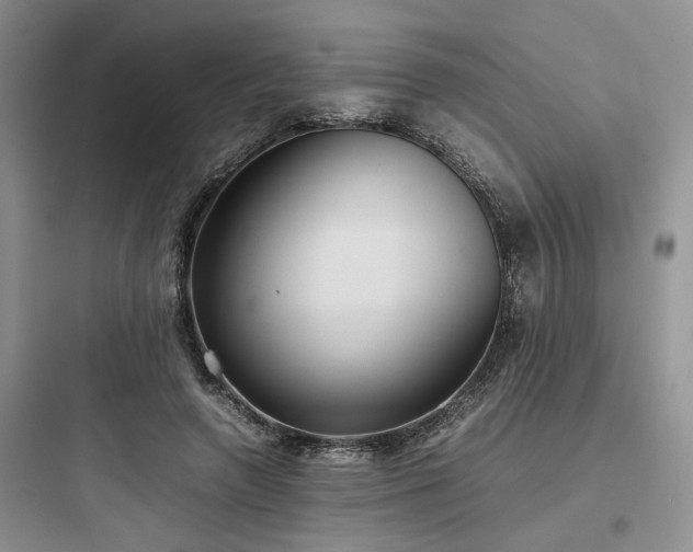 X0000097900546200803211444