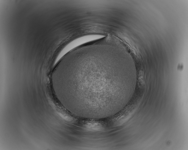 X0000097900547200803211444