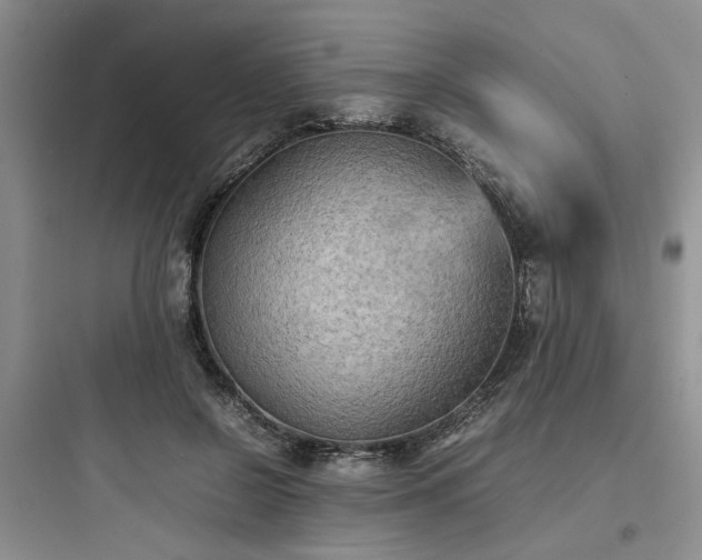 X0000097900550200803211444