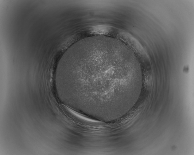 X0000097900551200803211444