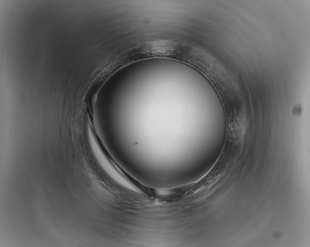 X0000097900552200803211444