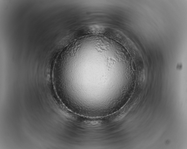 X0000097900553200803211444