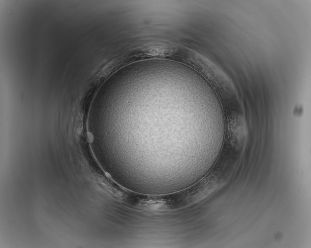 X0000097900554200803211444