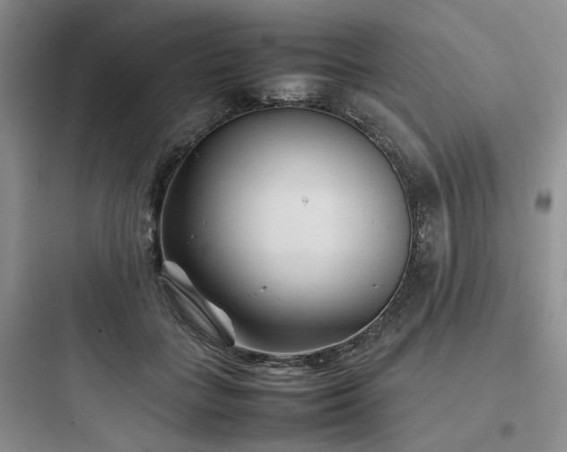 X0000097900555200803211444