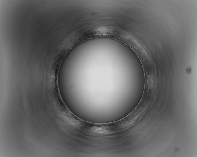 X0000097900557200803211444