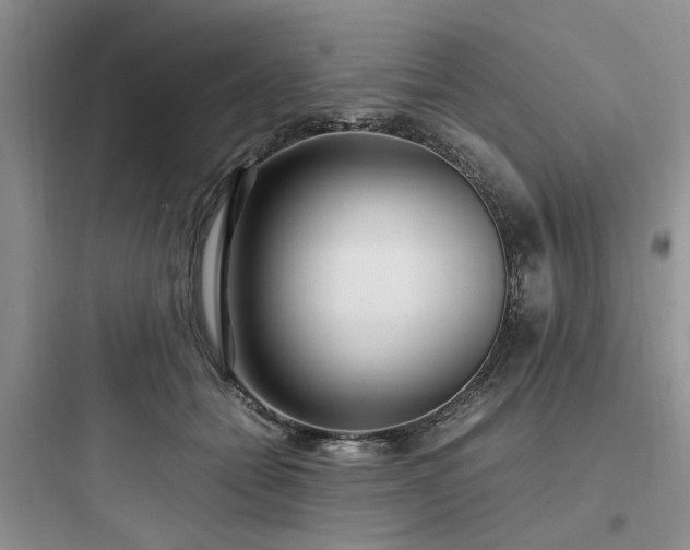 X0000097900558200803211444