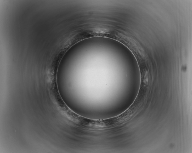 X0000097900559200803211444